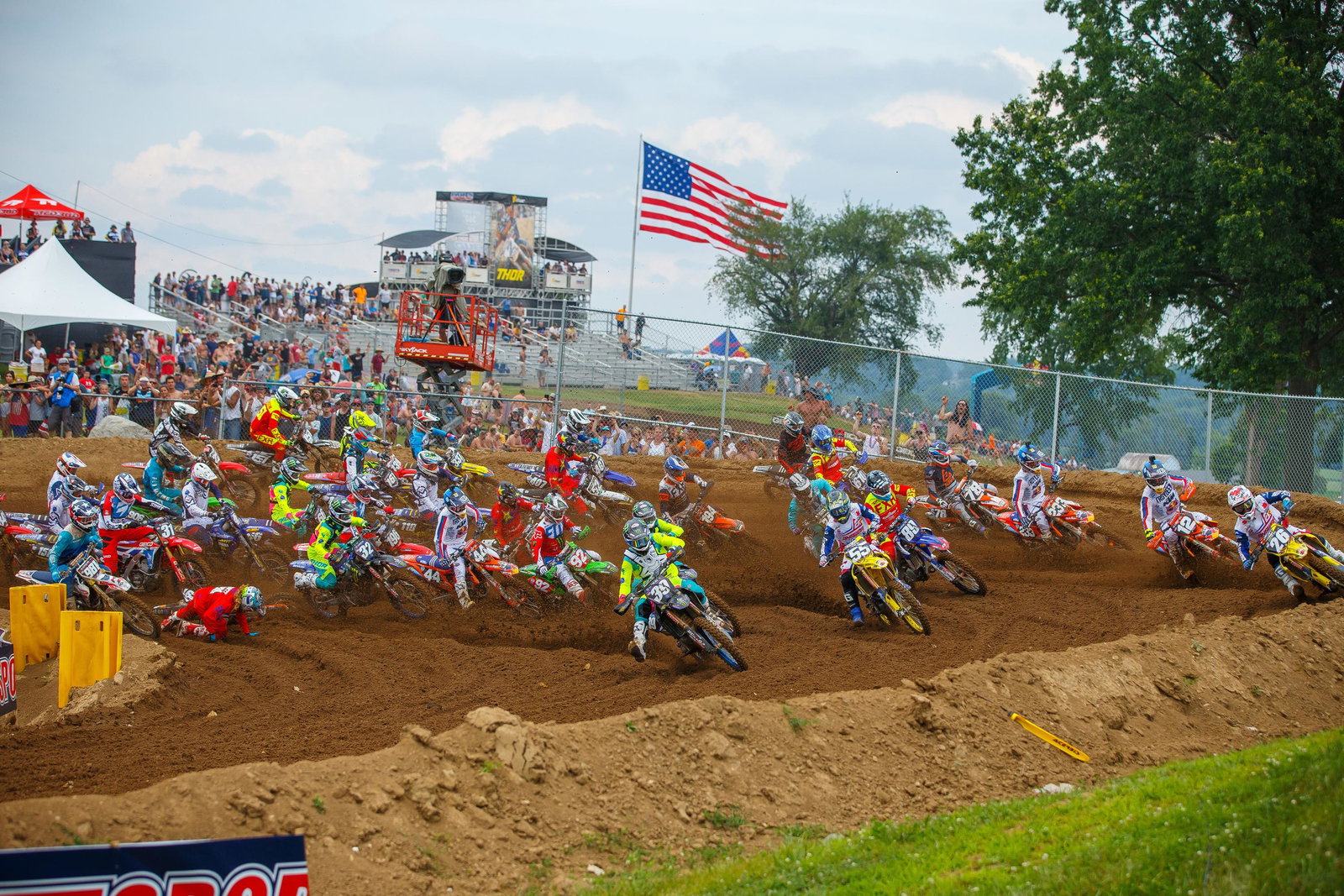 RedBud