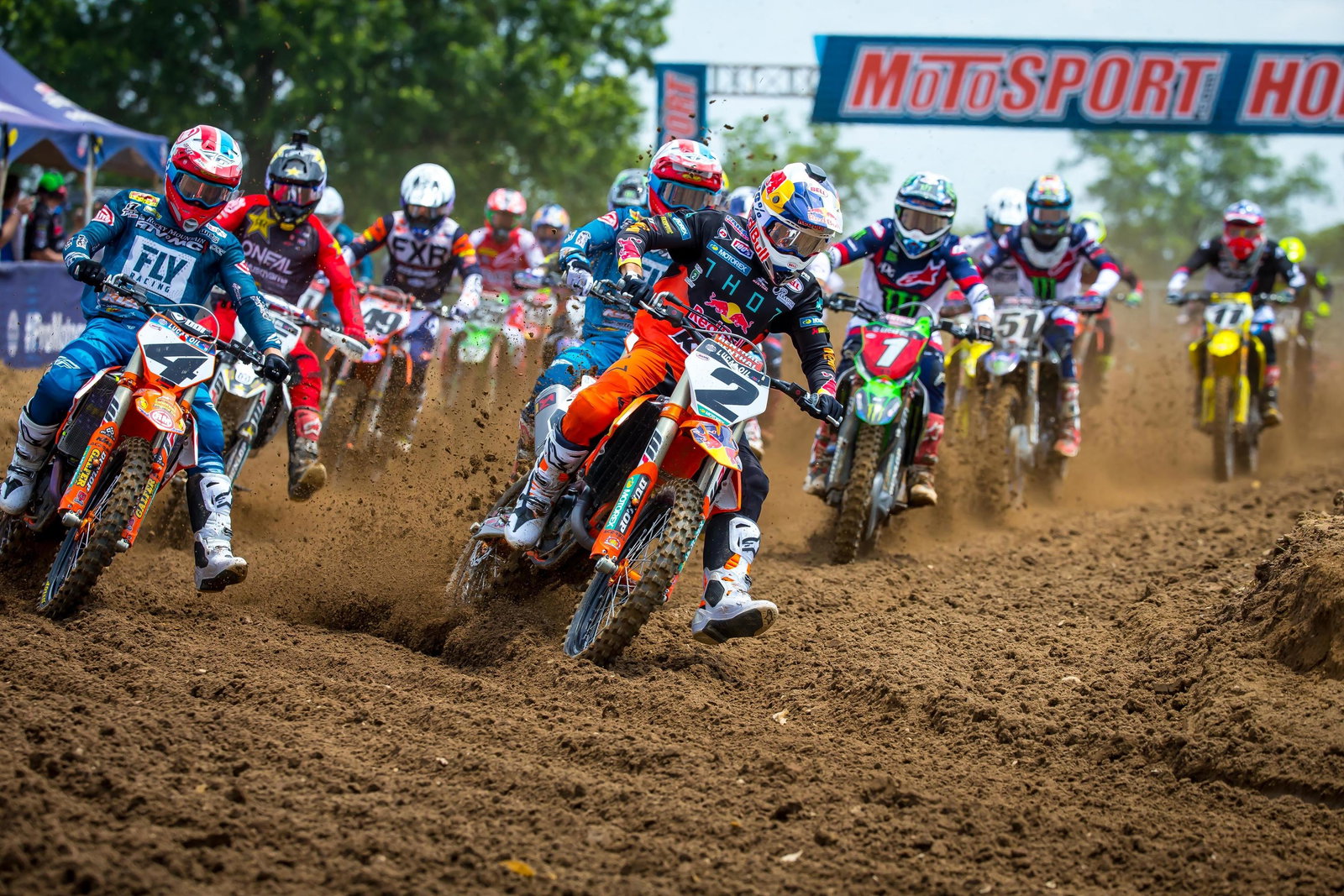 RedBud II