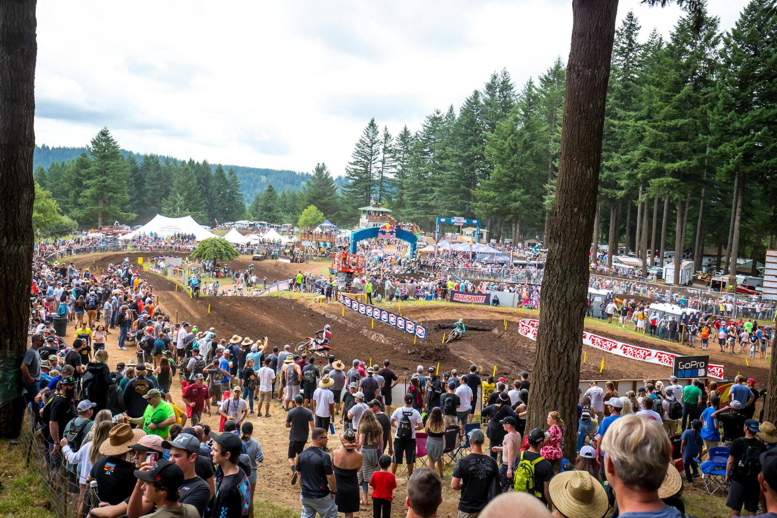 Pro Motocross Championship