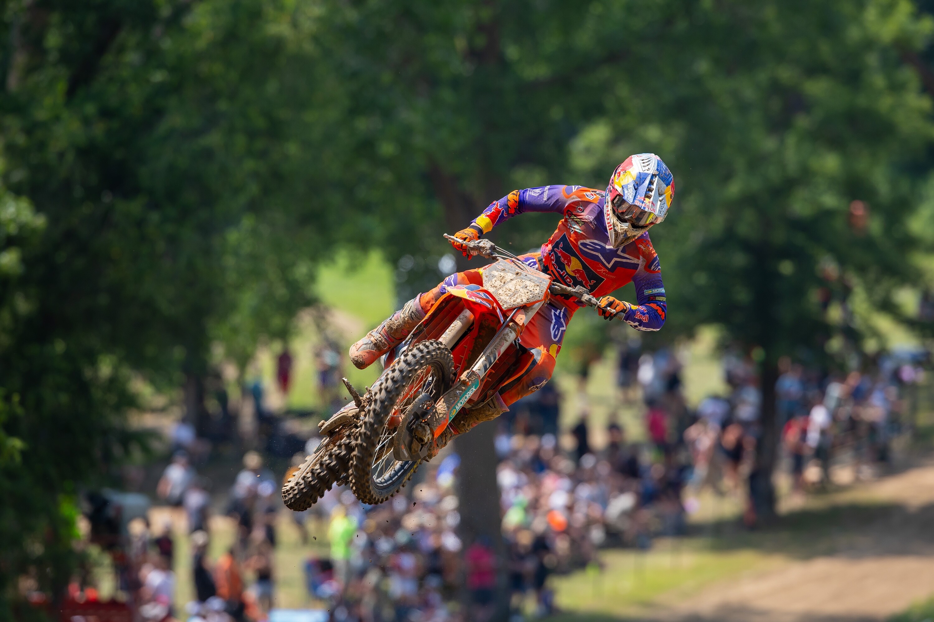 Vialle_AlignMedia_MX25_SpringCreek_065